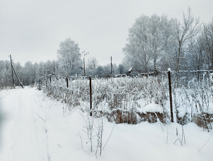 20210119_140704с (700x531, 414Kb)