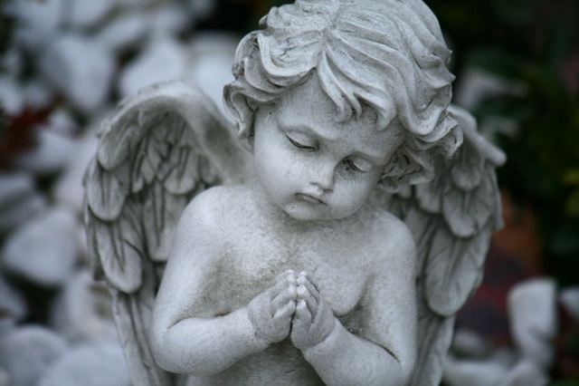 angel-9.jpg/5302471_image005 (640x426, 33Kb)