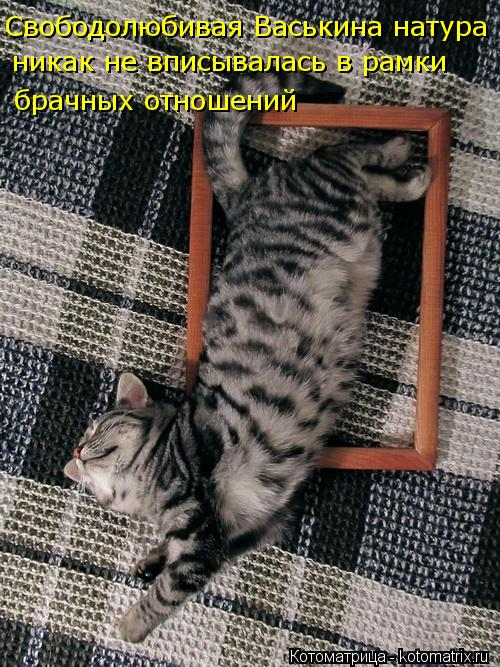 kotomatritsa_O (500x667, 321Kb)