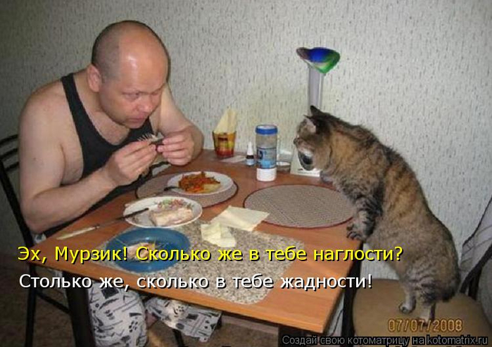 kotomatritsa_tg (700x493, 327Kb)