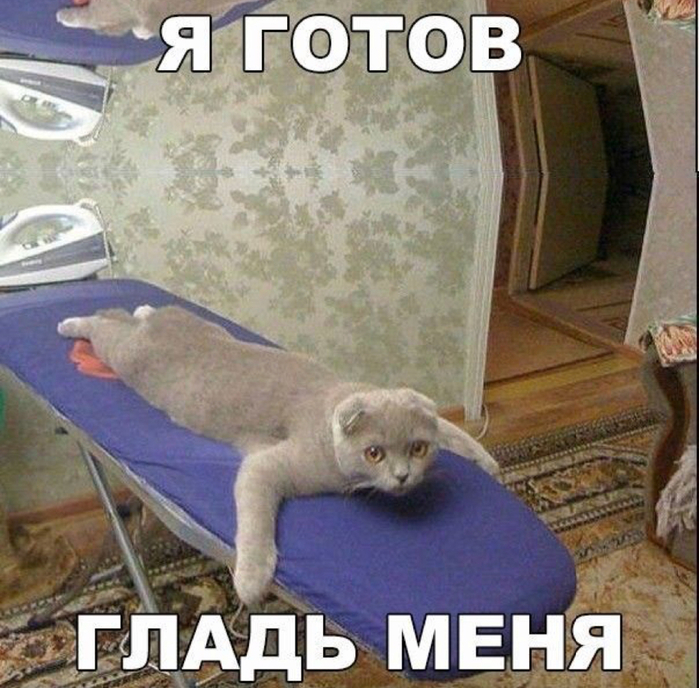 B52E699A-BE91-45D2-B0E8-0C4114C28437 (700x688, 486Kb)