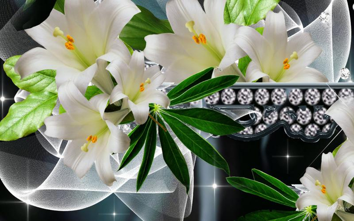 3d-abstract_hdwallpaper_lilies-remembered_52884 (700x437, 324Kb)