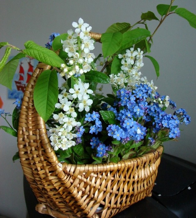 IMG_20210122_110200 (629x700, 129Kb)