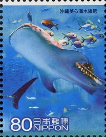 Whale-Shark-Rhincodon-Typus-Different-Fish (1) (207x267, 33Kb)