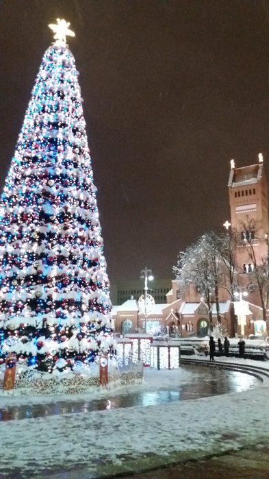 Новый год - новогодняя красавица на площади независимости в Минске (393x699, 361Kb)