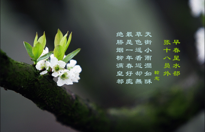 юш_blog_20120331130420494322 (700x452, 211Kb)