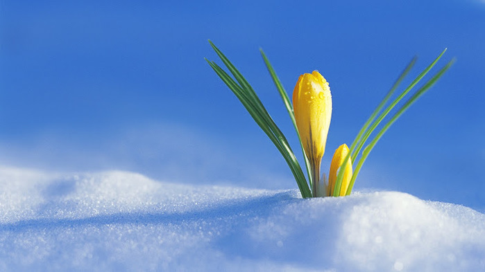 5152557_KarEriten_1_ (700x393, 62Kb)