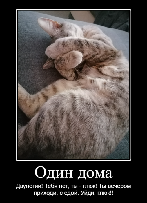 dem_602f3f8a3f2ff (507x700, 381Kb)