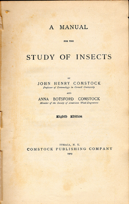 John-Henry-ComstockManual for the Study of Insects (444x700, 399Kb)