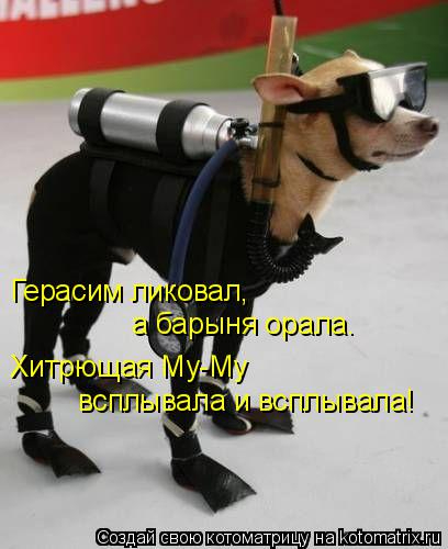 kotomatritsa_DO (408x500, 124Kb)
