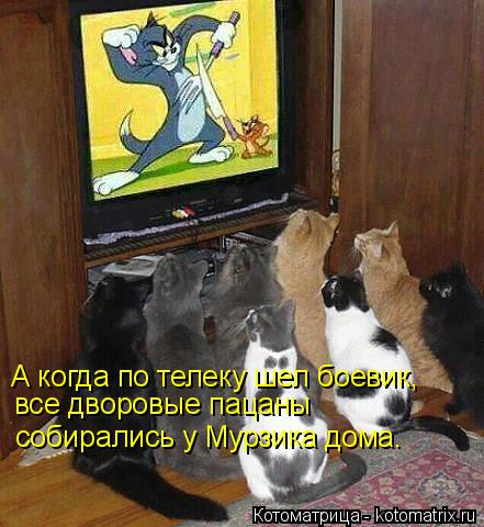 kotomatritsa_lI (441x480, 196Kb)
