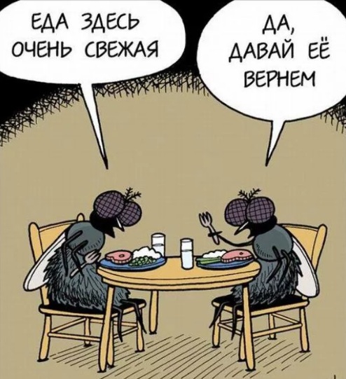 4752699_myyhi19 (494x541, 91Kb)