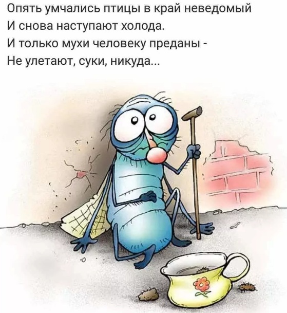 4752699_myyhi26 (559x609, 103Kb)