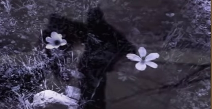 5642916_a6eefclip58kb (431x221, 57Kb)