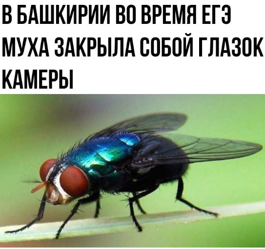 4752699_myyhi33_2_ (543x511, 77Kb)