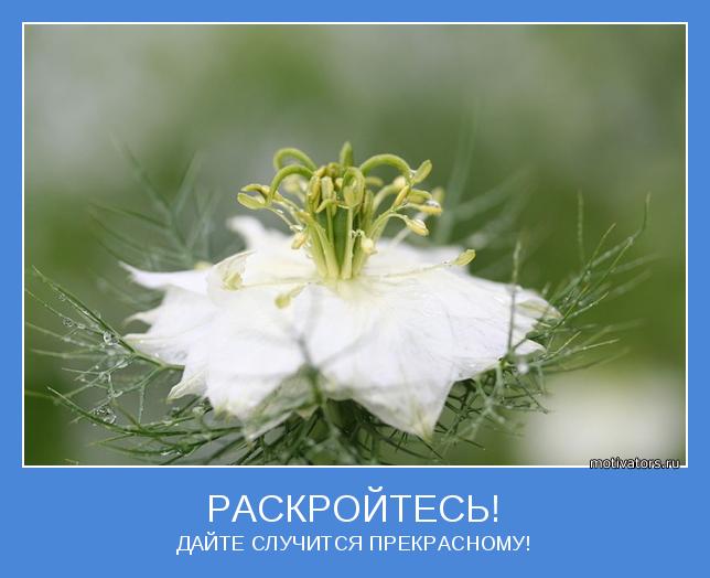 Случаться прекрасно. Весенний мотиватор. Весна мотиватор. Мотиваторы позитивные Весна. Цветы Весна мотиваторы.