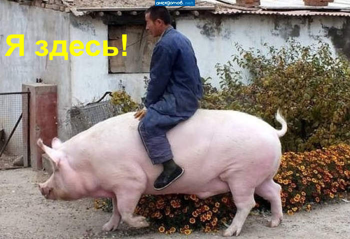 OdgsJRKgjVtl (700x479, 75Kb)