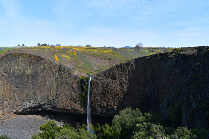 DSC_0137 (700x466, 420Kb)