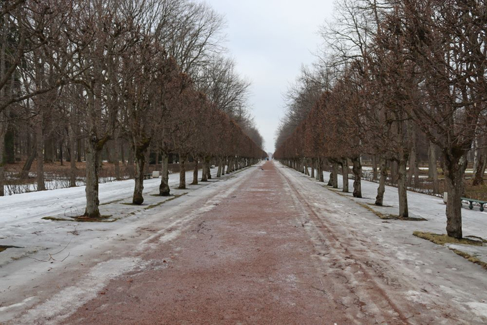 IMG_8030 (700x466, 348Kb)