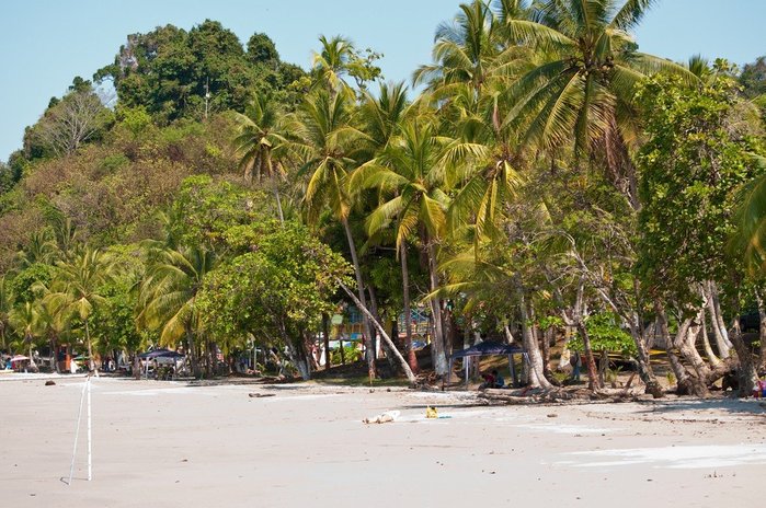 2714816_natsionalnyyparkmanuelantonio_52 (700x464, 112Kb)