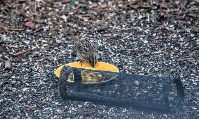 ma5 (700x417, 386Kb)