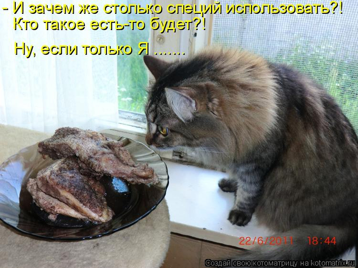 kotomatritsa_- (700x524, 391Kb)