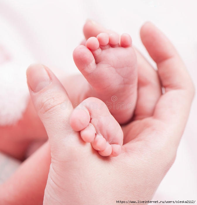 newborn-ноги-м-а-енца-36153138 (673x700, 141Kb)