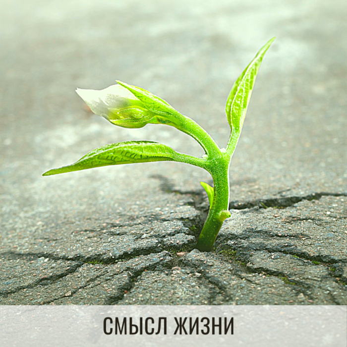 4129864_Smisl_jizni (700x700, 876Kb)