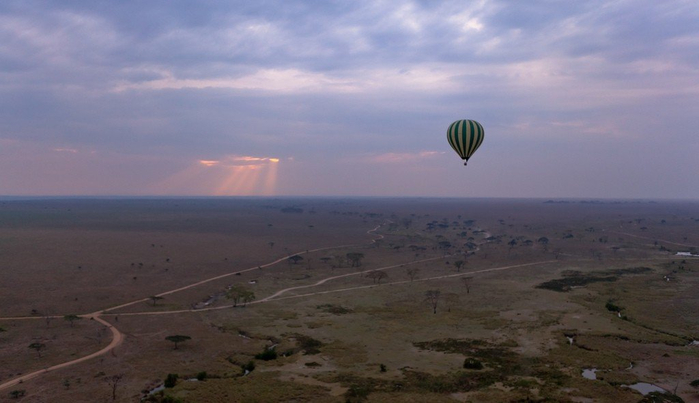 natsionalnyy-park-serengeti_87 (700x403, 218Kb)