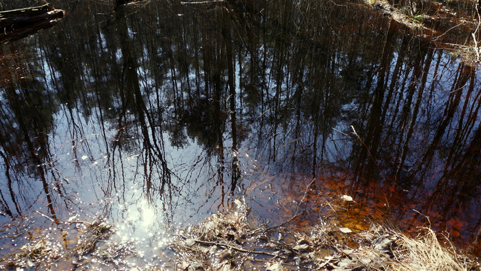 DSC02791 (700x394, 480Kb)
