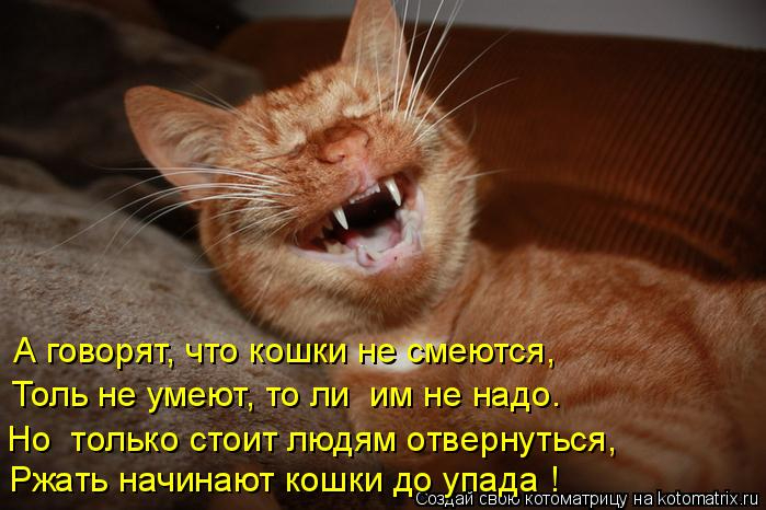 kotomatritsa_Lf (699x466, 264Kb)
