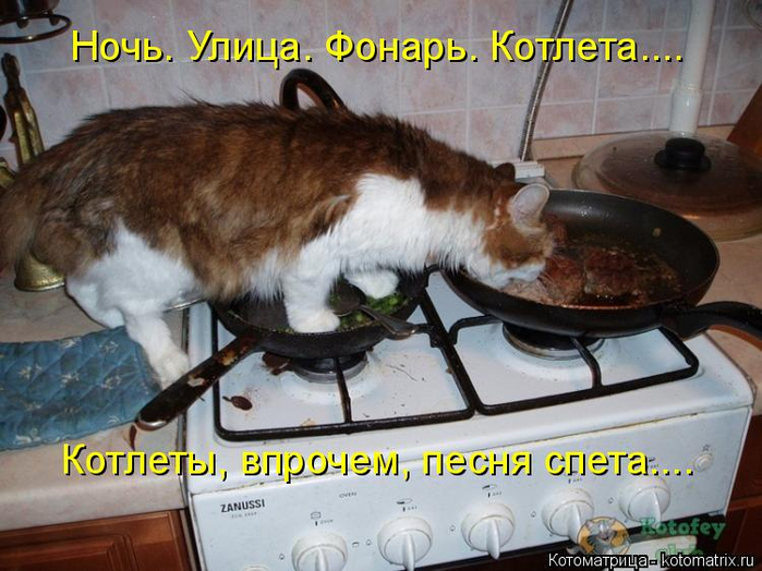 kotomatritsa_sq (700x524, 389Kb)