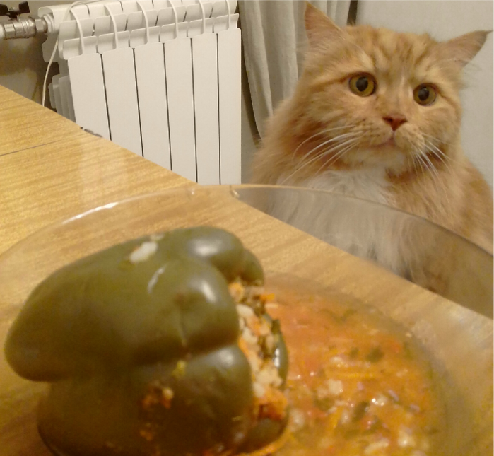 ��� (700x645, 605Kb)