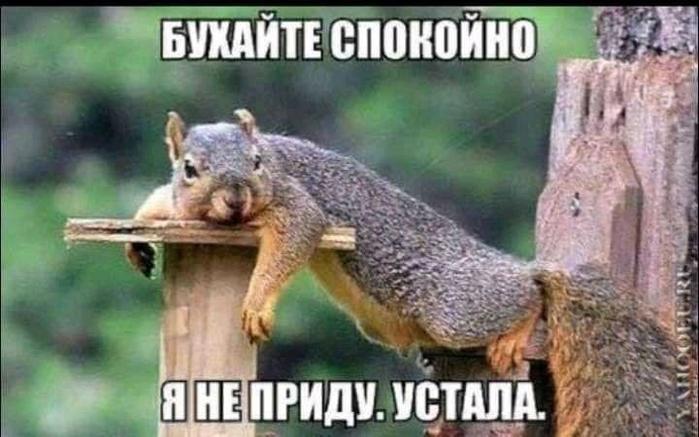 https://img1.liveinternet.ru/images/attach/d/3/155/400/155400461_photo_20200508_093812__1_.jpg