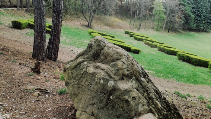 IMG_20210425_124459 (700x393, 396Kb)