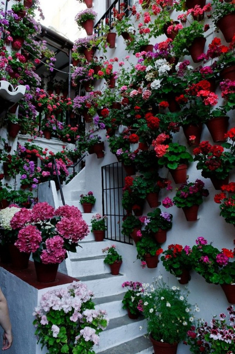 Flowers-11-The-ART-In-LIFE (464x700, 431Kb)