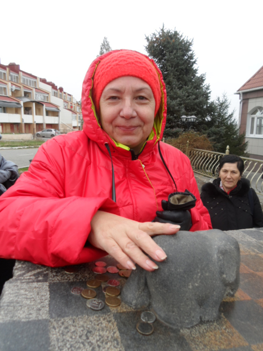 SAM_3858 (525x700, 344Kb)