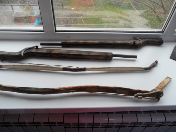 SAM_3869 (700x525, 298Kb)