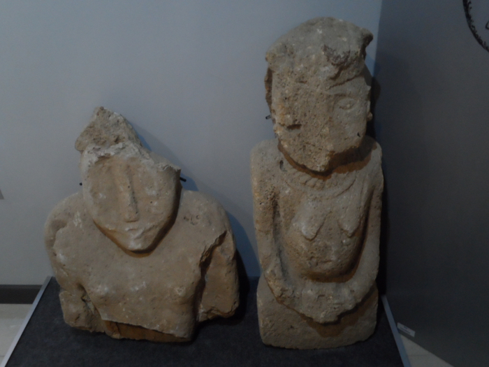 SAM_3883 (700x525, 311Kb)