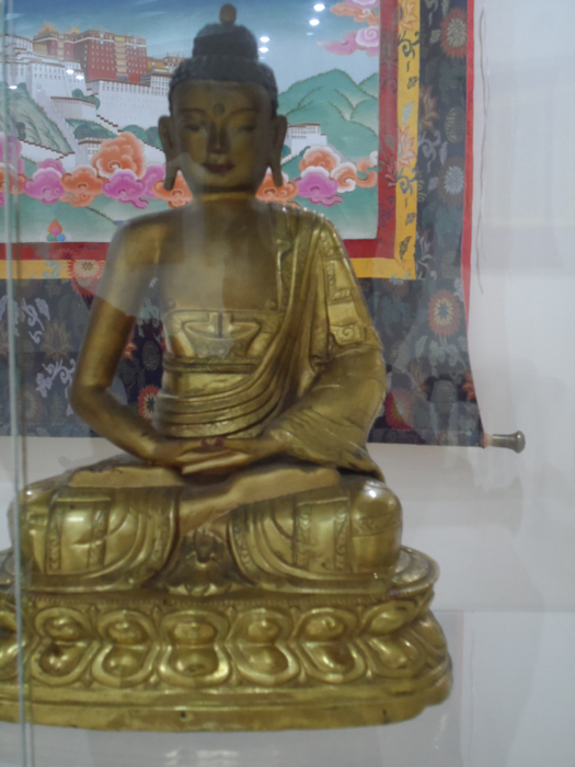 SAM_3918 (525x700, 329Kb)