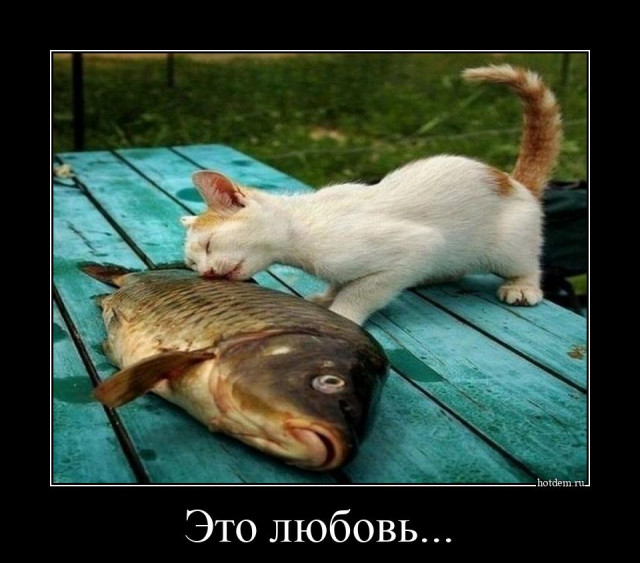 5672049_1619765643_demotivatory1 (640x563, 84Kb)