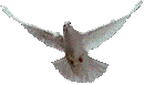 0_6a188_d1248de2_S (130x77, 20Kb)