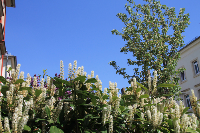 005 (700x466, 509Kb)