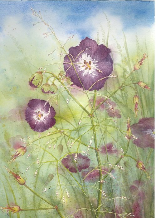 39030939_Geranium_by_louise_art (500x698, 289Kb)