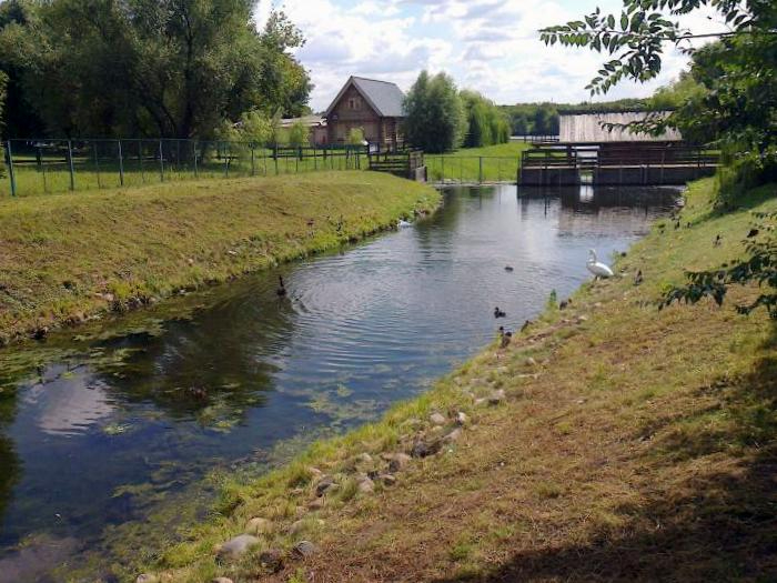 Участок реки. Река Жужа в Коломенском. Коломенское ул Жужа. Река Жужа в Москве. Речка Жужа в Коломенском старые.