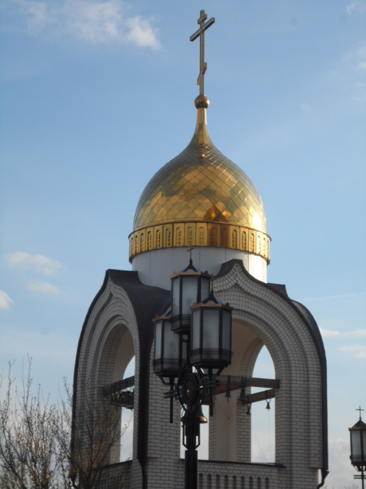 SAM_3971 (525x700, 286Kb)