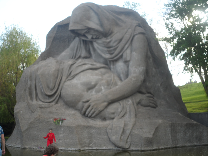 SAM_3963 (700x525, 309Kb)