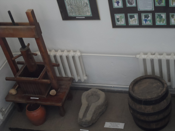 SAM_4016 (700x525, 237Kb)