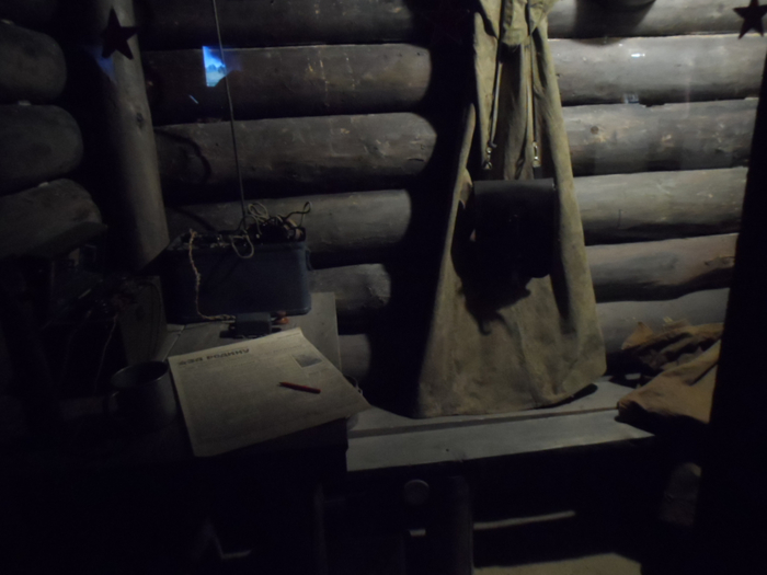 SAM_4051 (700x525, 212Kb)