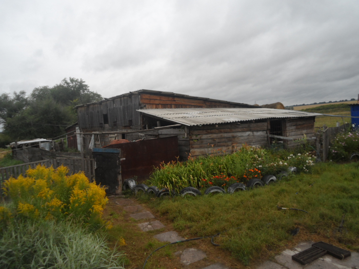 SAM_3125 (700x525, 336Kb)